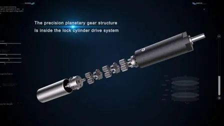 Zhaowei Custom10mm Микропланетарный мотор-редуктор постоянного тока Промышленные приводы для интеллектуального замка